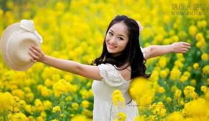 春和映景明,春意盎然映景明——探寻春日美景的奥秘