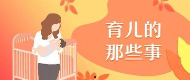 天才萌宝的家族振兴计划,传承与创新之路