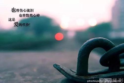 心碎的代价,揭秘爱情中的痛与成长